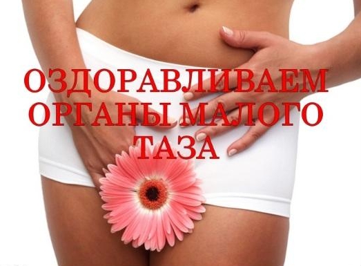 Курс по оздоровлению органов малого таза «Апана» -_0.jpg